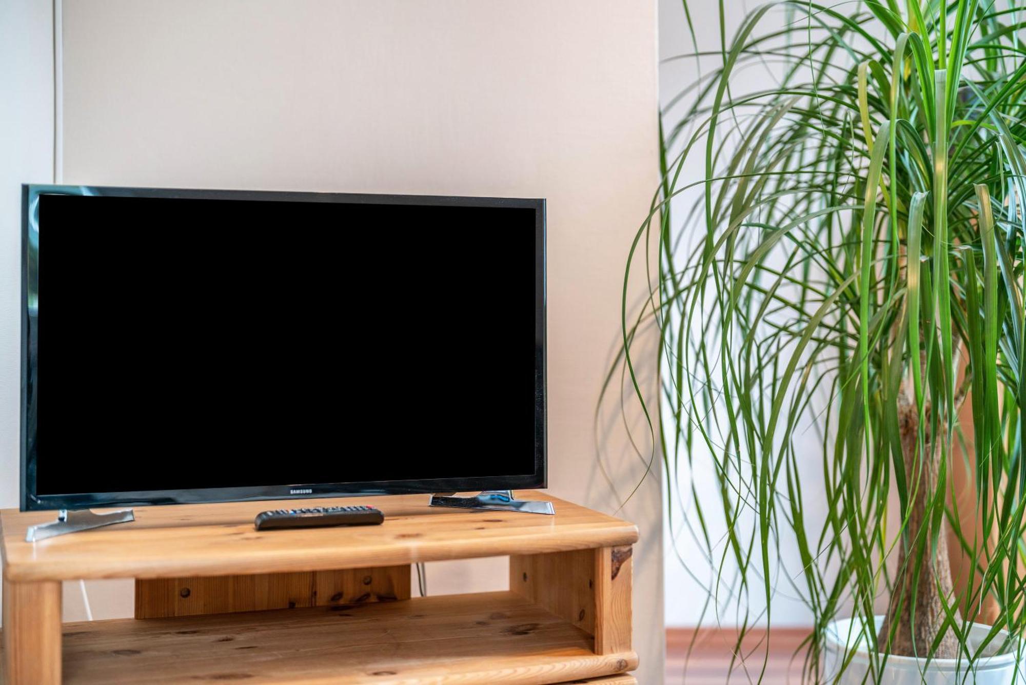 Ferienwohnung Burgblick Hausach Luaran gambar