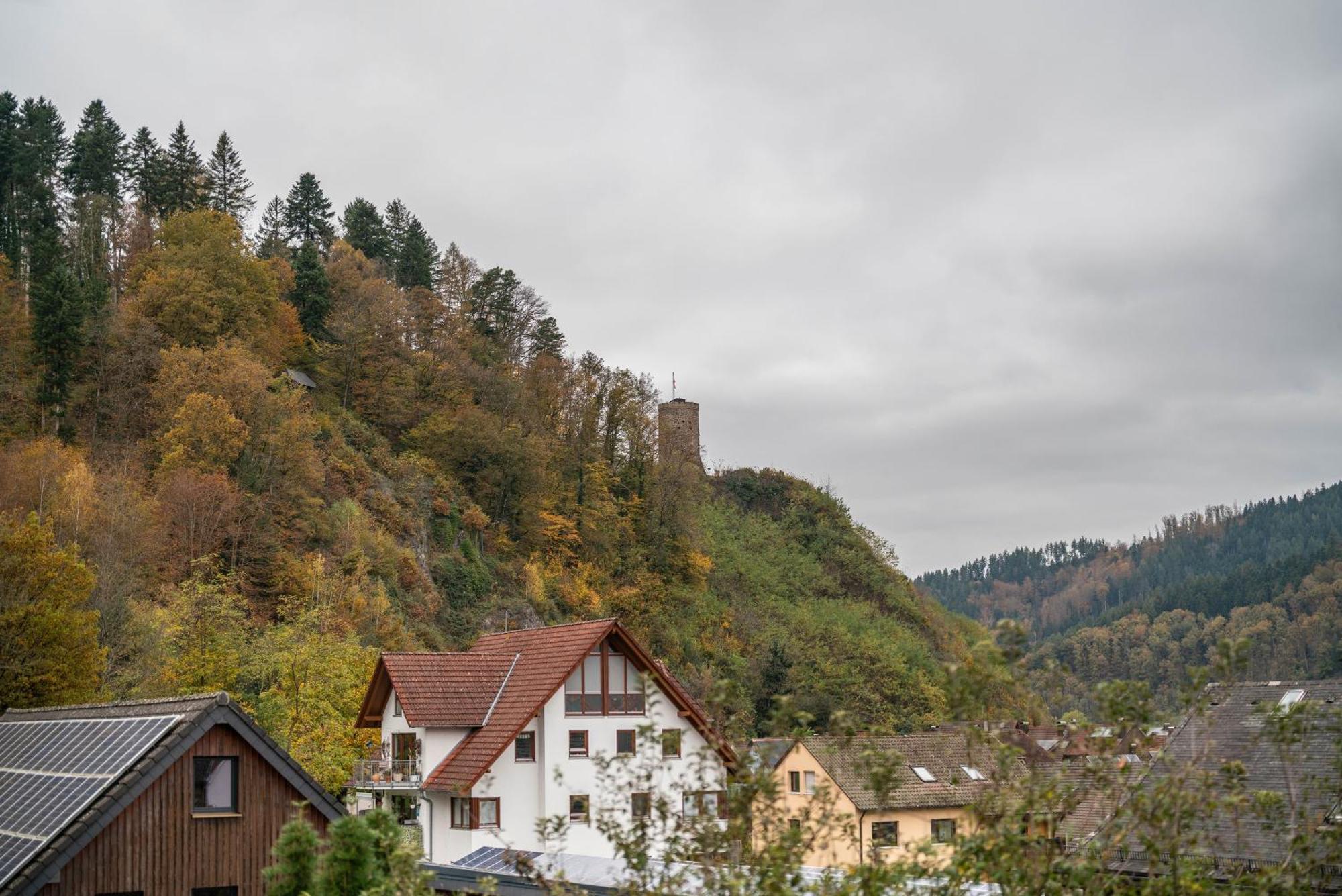 Ferienwohnung Burgblick Hausach Luaran gambar